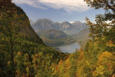 1179 Alpsee In Allgau